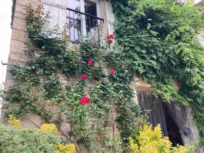 Jardin de l'établissement Beautiful 18th Century Whole Manor House with Sole Use Private Pool