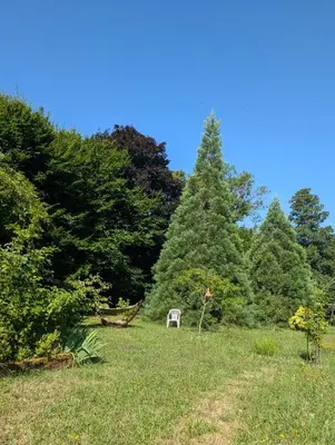 Jardin de l'établissement Beautiful 18th Century Whole Manor House with Sole Use Private Pool
