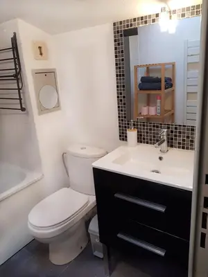 Salle de bains dans l'établissement Charmant studio au cœur de Dijon