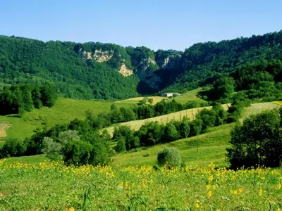 Paysage naturel près de la maison de vacances