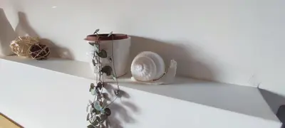 Plan de l'établissement La Coquille, chambre douillette auprès d'un élevage d'escargots