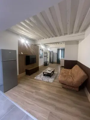 Télévision ou salle de divertissement dans l'établissement L'écrin de Paray, sleeps 6