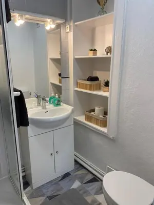 Salle de bains dans l'établissement Joli studio centre ville de Dole