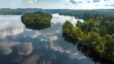 Paysage naturel près de le bateau
