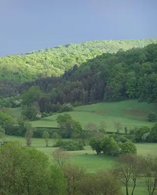Paysage naturel près de le chalet