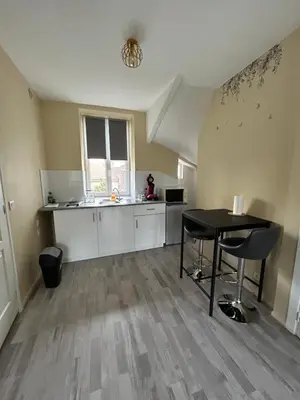 Cuisine ou kitchenette dans l'établissement Studio le Saint Cosme