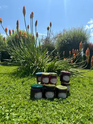 Jardin de l'établissement La Ferme de Jad