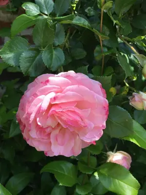 Jardin de l'établissement La Ferme de Jad