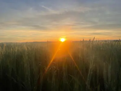 Lever ou coucher de soleil vu de la maison d'hôtes ou à proximité