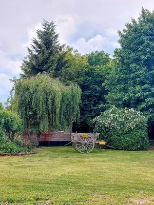 Jardin de l'établissement Le Cèdre
