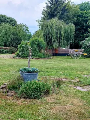 Jardin de l'établissement Le Cèdre