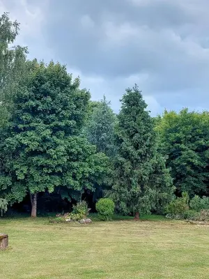 Jardin de l'établissement Le Cèdre