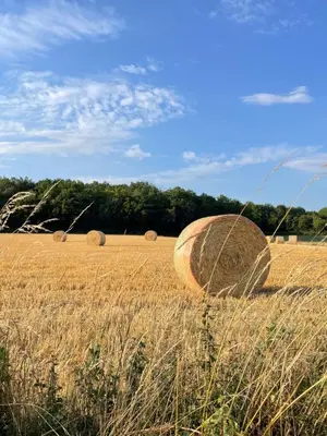 Paysage naturel près de le B&B/chambre d'hôtes