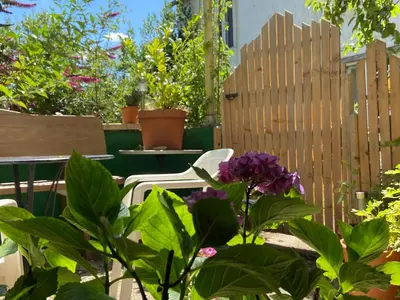 Jardin de l'établissement L'Alcôve, maison d'artistes