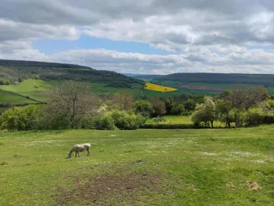 Paysage naturel près de la maison de vacances