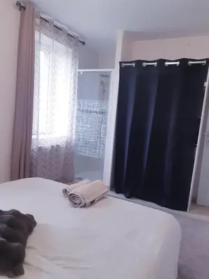 Un ou plusieurs lits dans un hébergement de l'établissement Logement calme en Morvan