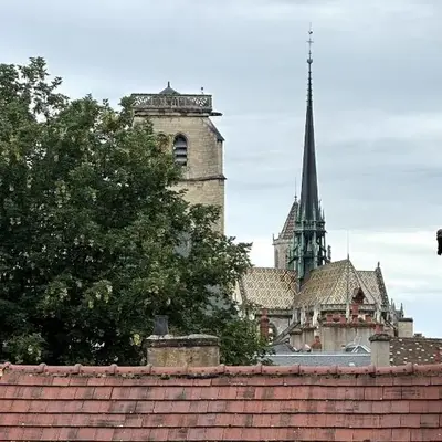Studio vue cathédrale St-Bénigne Dijon