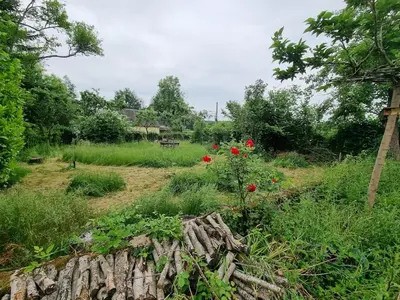 Jardin de l'établissement Gîte dans Parc Naturel Proche Forêt & Spa - Parking Inclus