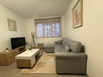 Télévision ou salle de divertissement dans l'établissement Nice tourist apartment