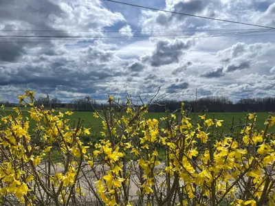 Plan de l'établissement Gîte Camping les Arbois