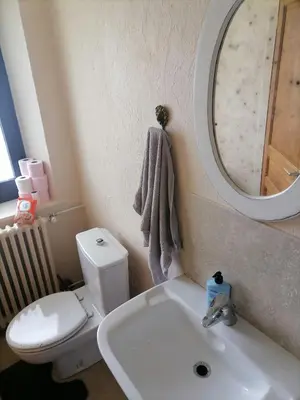 Salle de bains dans l'établissement Edelweiss