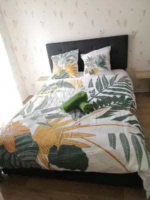 Un ou plusieurs lits dans un hébergement de l'établissement Superbe nid douillet 42m avec balcon et parking