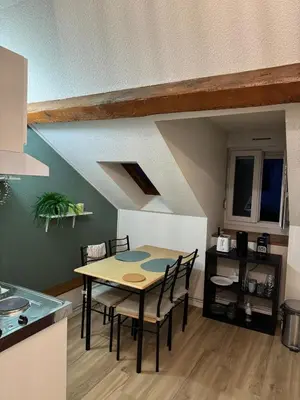 Cuisine ou kitchenette dans l'établissement Appartement Dijon-centre quartier Montchapet