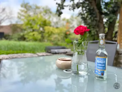 Boissons dans l'établissement Le Maé classé 4 étoiles, terrasse et parking