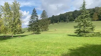 Paysage naturel près de la maison de vacances