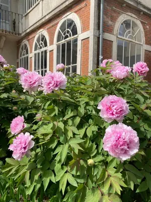 Jardin de l'établissement Le Clos de Marguerite