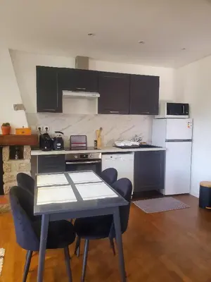Cuisine ou kitchenette dans l'établissement Grand studio spacieux