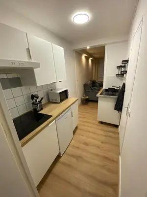 Cuisine ou kitchenette dans l'établissement Appartement au coeur de Dole