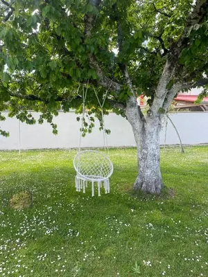 Jardin de l'établissement Le repaire des trois singes