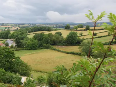 Paysage naturel près de le camping