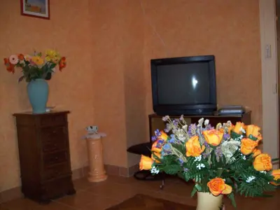 Télévision ou salle de divertissement dans l'établissement les hortensias