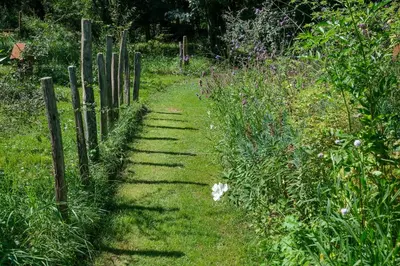 Jardin de l'établissement Maison Le Garochet