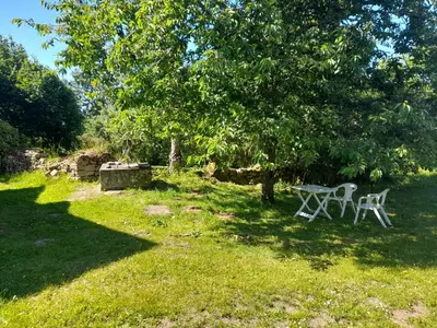 Jardin de l'établissement Maison DU VERGER
