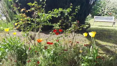 Jardin de l'établissement La Dolce Vita