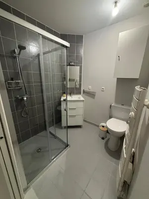Salle de bains dans l'établissement Échappée Dijonnaise - studio cosy au cœur du centre ville