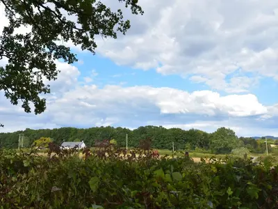 Paysage naturel près de la maison de vacances
