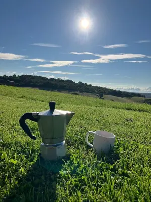 Paysage naturel près de le camping