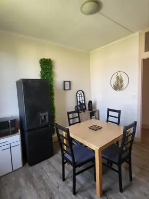 Cuisine ou kitchenette dans l'établissement Cozy Zen de Paray 2 bedroom