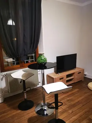 Télévision ou salle de divertissement dans l'établissement Cozy Zen de Paray 2 bedroom