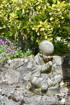 Jardin de l'établissement Chez Marjon a Morvan