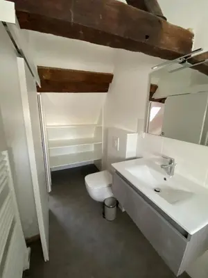 Salle de bains dans l'établissement Appartement coeur de Beaune