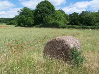 Paysage naturel près de la maison de vacances