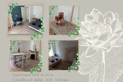 Plan de l'établissement Appartement familial Fleur de coton - centre-ville