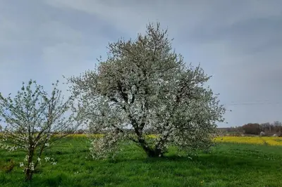 Paysage naturel près de la maison de vacances