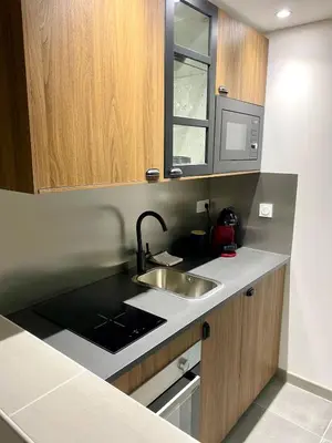 Cuisine ou kitchenette dans l'établissement Dijon hyper-centre Le Casa Dauphine