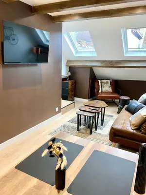 Télévision ou salle de divertissement dans l'établissement Dijon hyper-centre Le Casa Dauphine